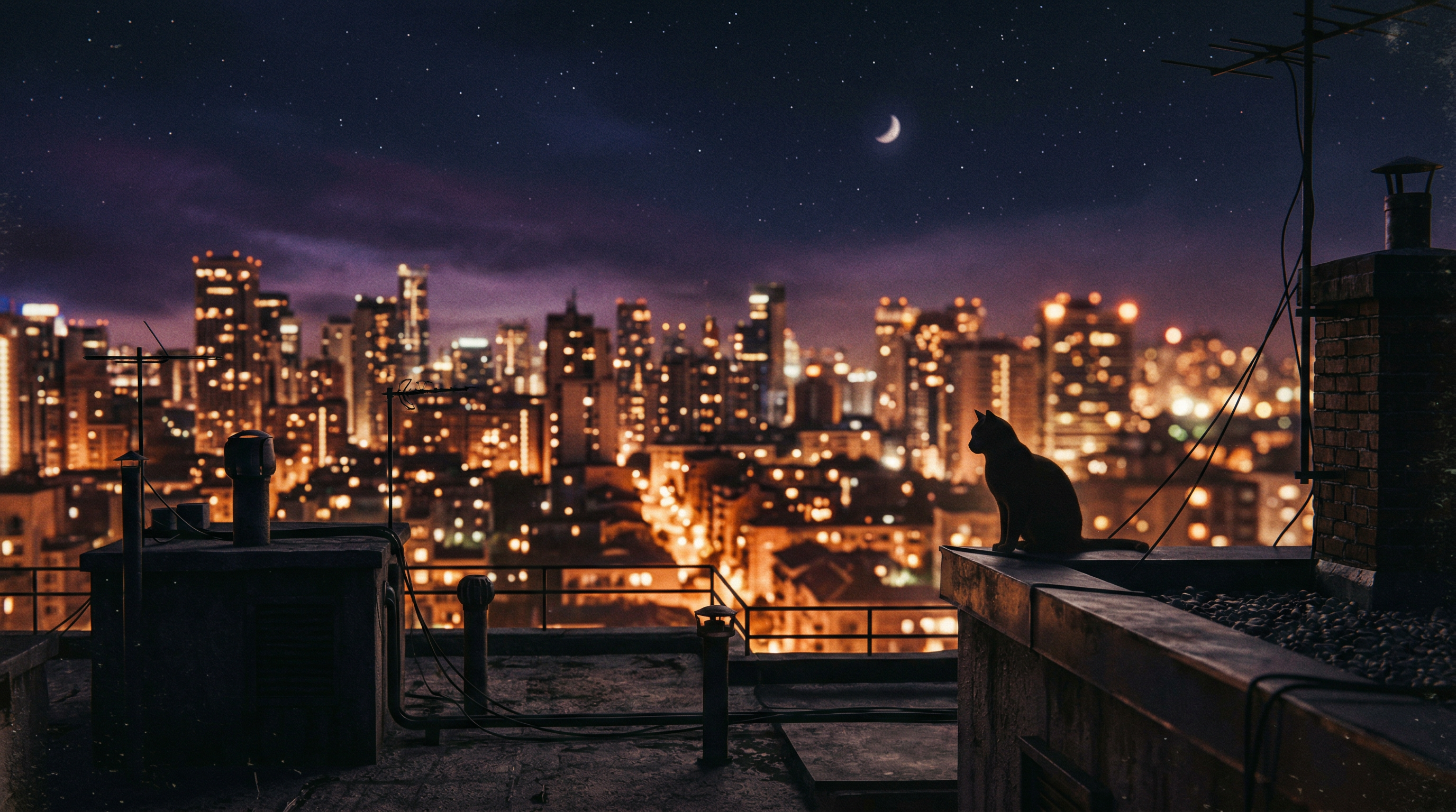Cat silhouette on a rooftop overlooking city lights at night
